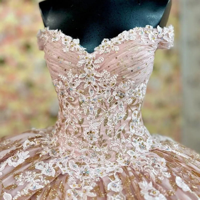 Quinceanera Dress Prom Ball Gowns Applique Corset Back Prom Sweet 16 Dress fg4081