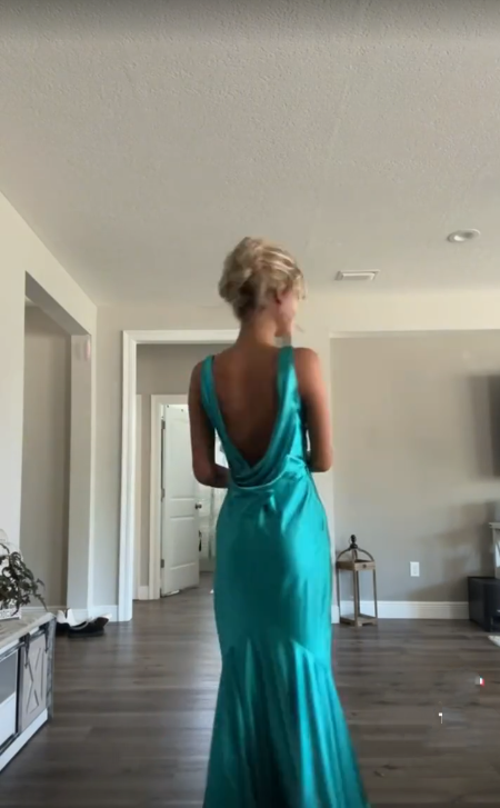 Sexy V Neck Sleeveless Evening Dress Long Prom Dresses Online fg6680
