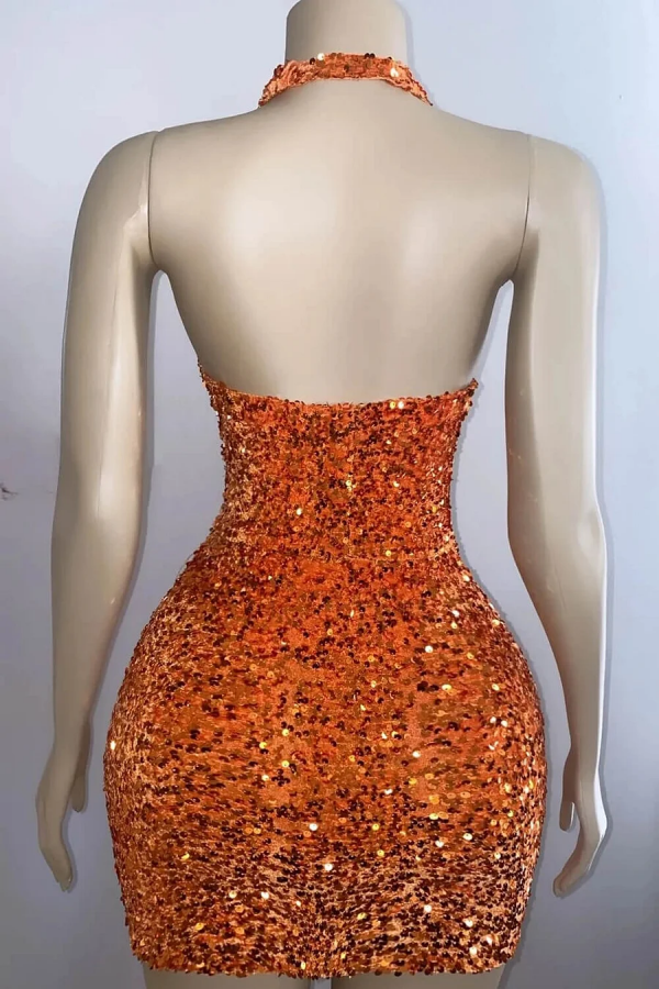 Charming Halter V-neck Backless Sequins Sparkly Homecoming Dress fg6197