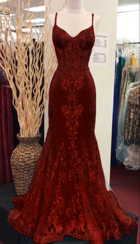 Charming V Neck Lace Mermaid Prom Dress Long Evening Dress fg5452