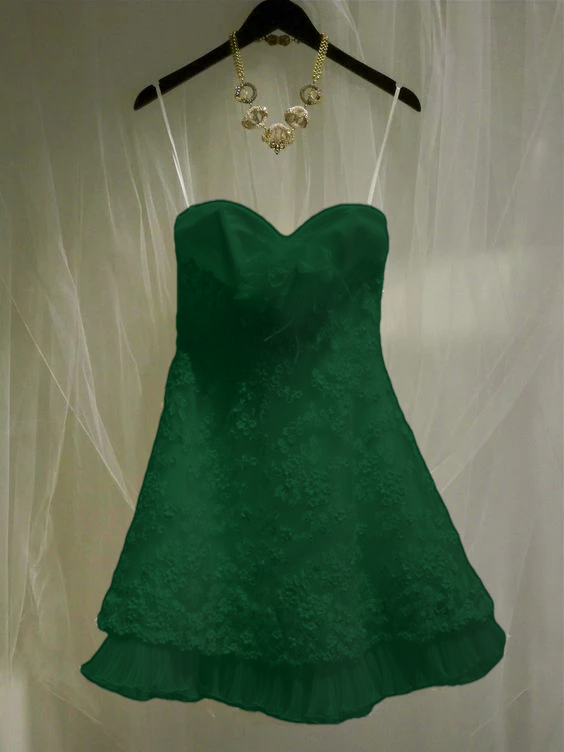 Sleeveless A-Line Homecoming Dress Party Gowns fg5894