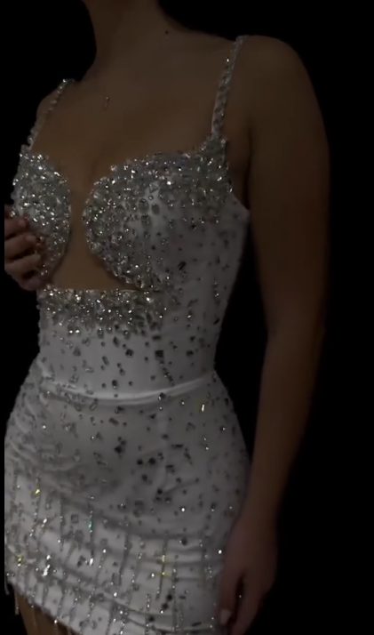 Sexy Beaded Short Prom Dress Birthday Party Dress Homecoming Dress fg8162