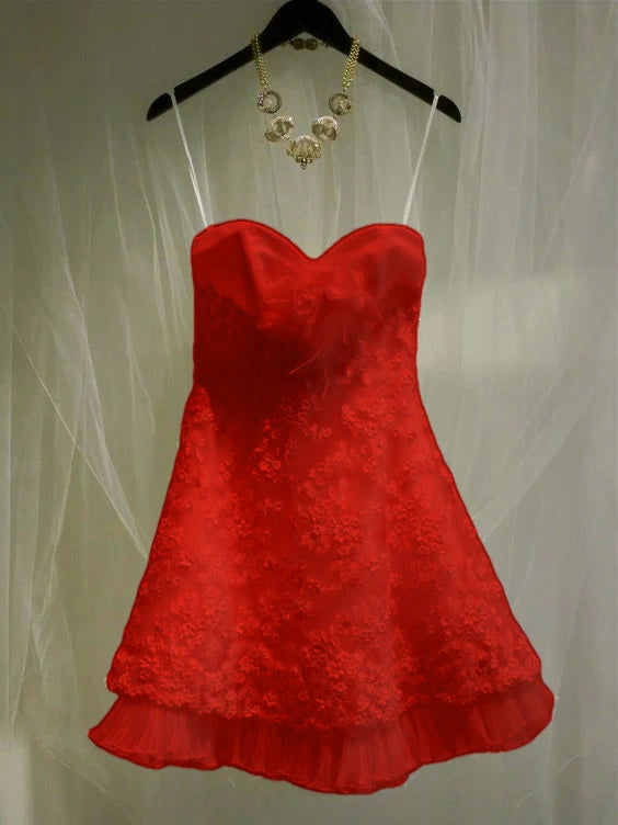 Sleeveless A-Line Homecoming Dress Party Gowns fg5894
