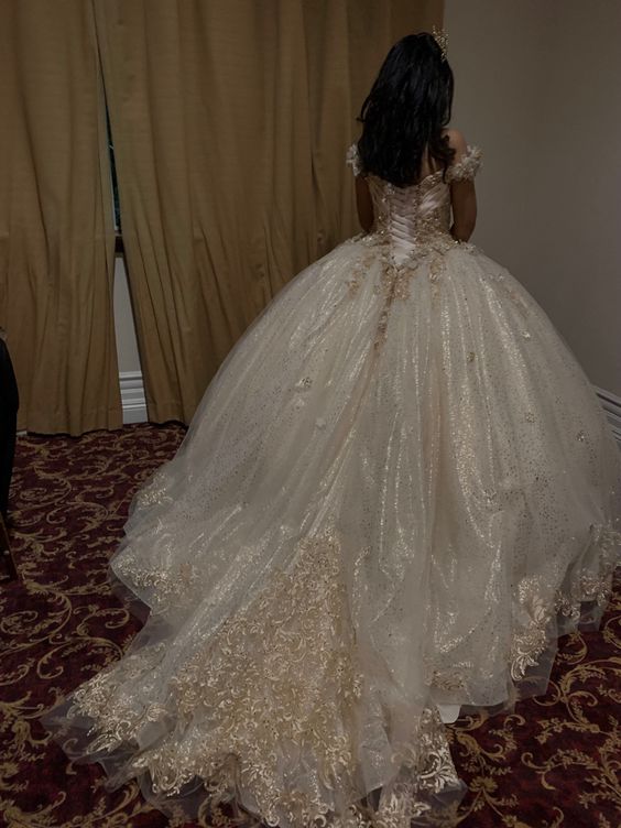 Glittering Quinceanera Dresses Lace Princess Dress Birthday Party Gowns Ball Gowns fg6576