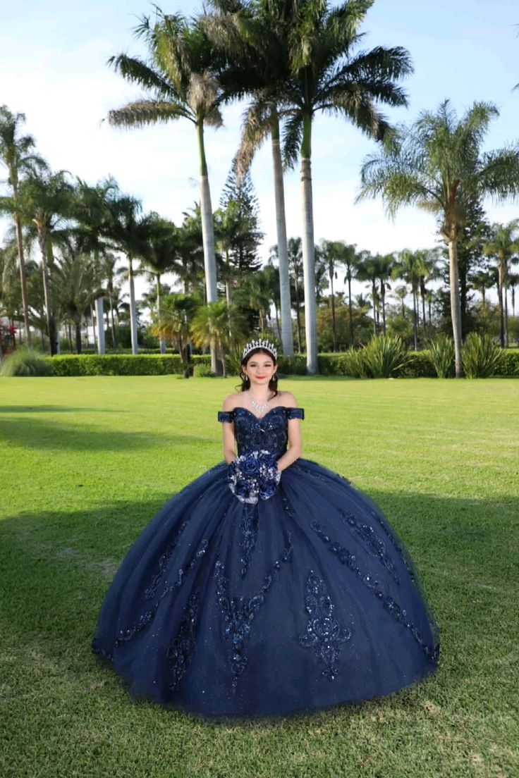 Navy Blue quinceañera dress Sweet 15 16 Prom Party Ball Gowns fg5523