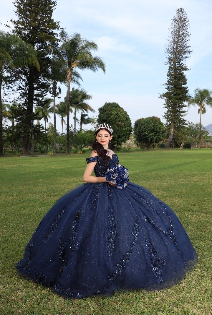 Navy Blue quinceañera dress Sweet 15 16 Prom Party Ball Gowns fg5523
