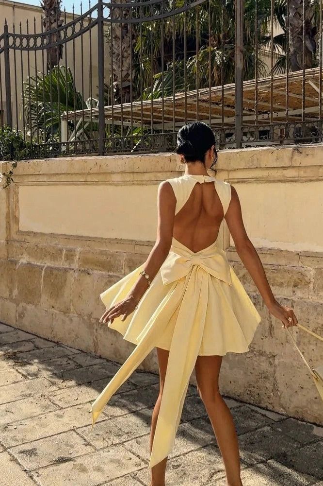Sleeveless High-Waist Mini Dress Homecoming Dress Short Party Dress fg7801