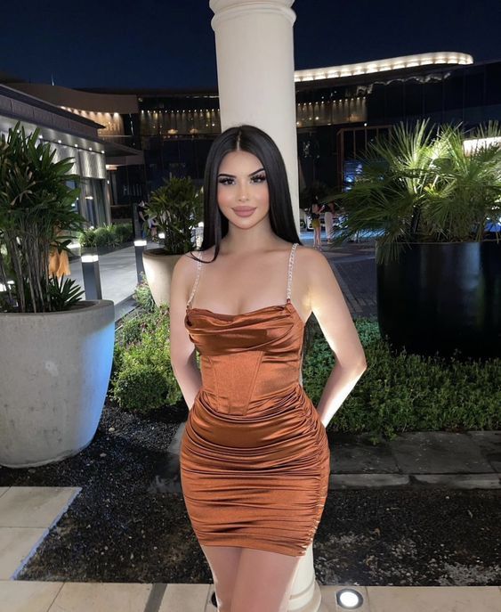 Sheath Party Dress Lady Fashion Homecoming Gown Party Dress fg5509