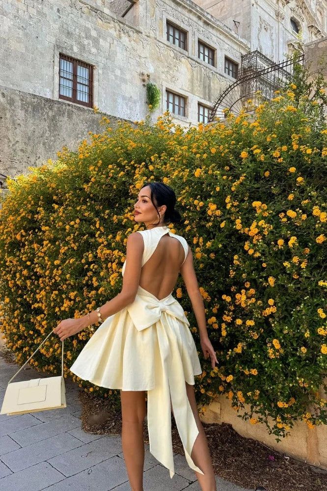 Sleeveless High-Waist Mini Dress Homecoming Dress Short Party Dress fg7801