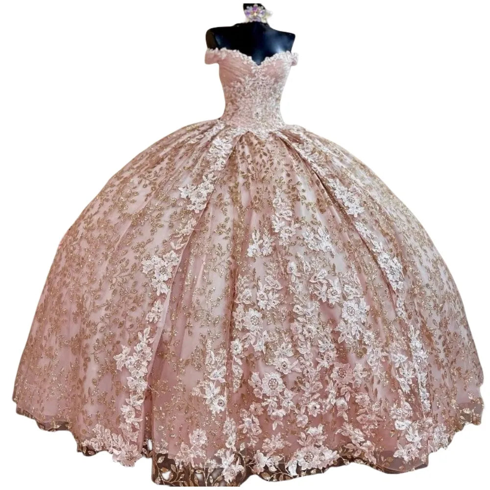 Quinceanera Dress Prom Ball Gowns Applique Corset Back Prom Sweet 16 Dress fg4081