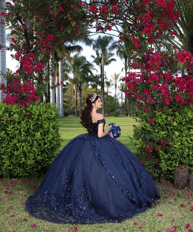 Navy Blue quinceañera dress Sweet 15 16 Prom Party Ball Gowns fg5523