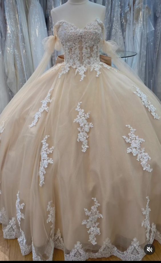 Quinceanera Dress Ball Gown Champagne Prom Dresses fg4421