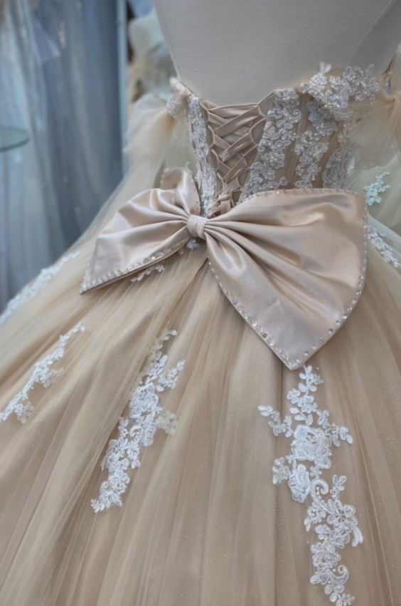 Quinceanera Dress Ball Gown Champagne Prom Dresses fg4421