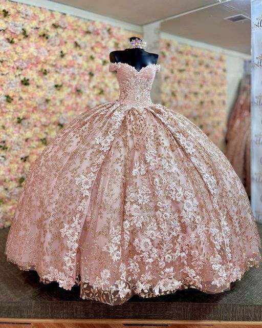 Quinceanera Dress Prom Ball Gowns Applique Corset Back Prom Sweet 16 Dress fg4081