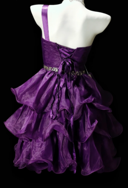 One Shoulder Floral Rhinestone Ruffled Organza Short Homecoming Dress fg8886