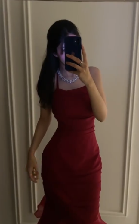 Elegant Red Long Prom Dress, Formal Gown fg5263