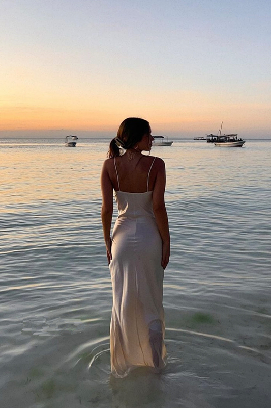 Satin Evening Dresses Formal Party Dress Spaghetti Strap Prom Gowns fg5658