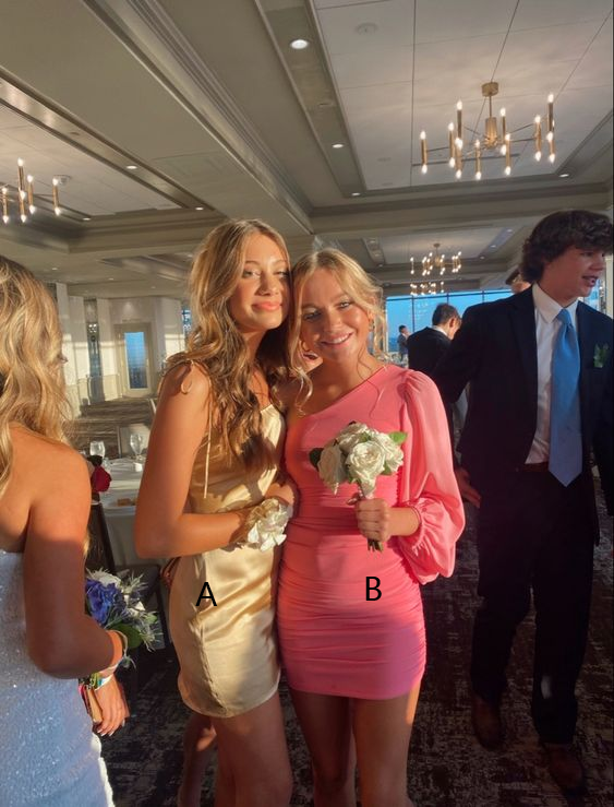 Simple Short Party Dress Homecoming Dress fg2389