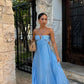 Simple Blue Sleeveless A-line Chiffon Long Evening Prom Dresses         fg7203