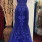 Charming V Neck Lace Mermaid Prom Dress Long Evening Dress       fg5452