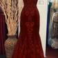 Charming V Neck Lace Mermaid Prom Dress Long Evening Dress       fg5452