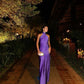 Sexy Sheath Blue Evening Gown Prom Party Dresses           fg6388