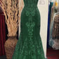 Charming V Neck Lace Mermaid Prom Dress Long Evening Dress       fg5452