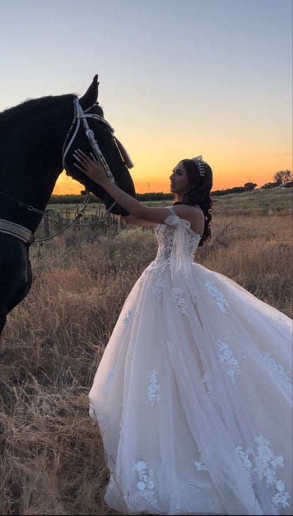 Off The Shoulder Tulle White Appliques Wedding Dresses      fg5397