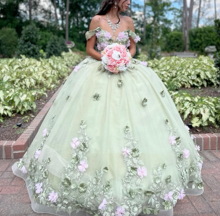 Charming Off Shoulder Princess Ball Gown Elegant Quinceanera Dress Sweet 16 Dress     fg7059