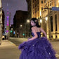 Elegant Purple A-Line Prom Dress Stars Love Elegant Lolita Party Dress    fg5105