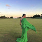 A Line Fashion Green Long Prom Dress,   Formal Evening Gown      fg3895