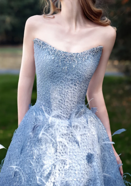Strapless Sparkly Beaded Feather Ball Gown Evening Dress fg8838