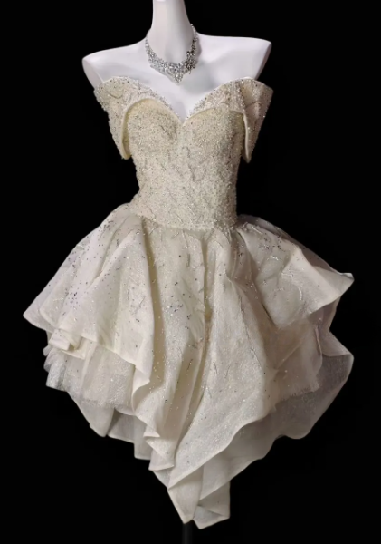 Off Shoulder Beaded Sparkly Organza High Low Short Homecoming Dress fg8875